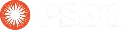 PSEG Supporter Logo for FIFA World Cup 2026™️ NYNJ